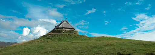 Leknes
