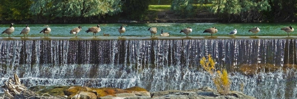Idaho Falls