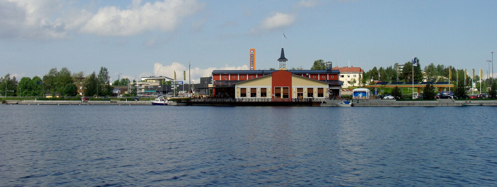 Viitasaari